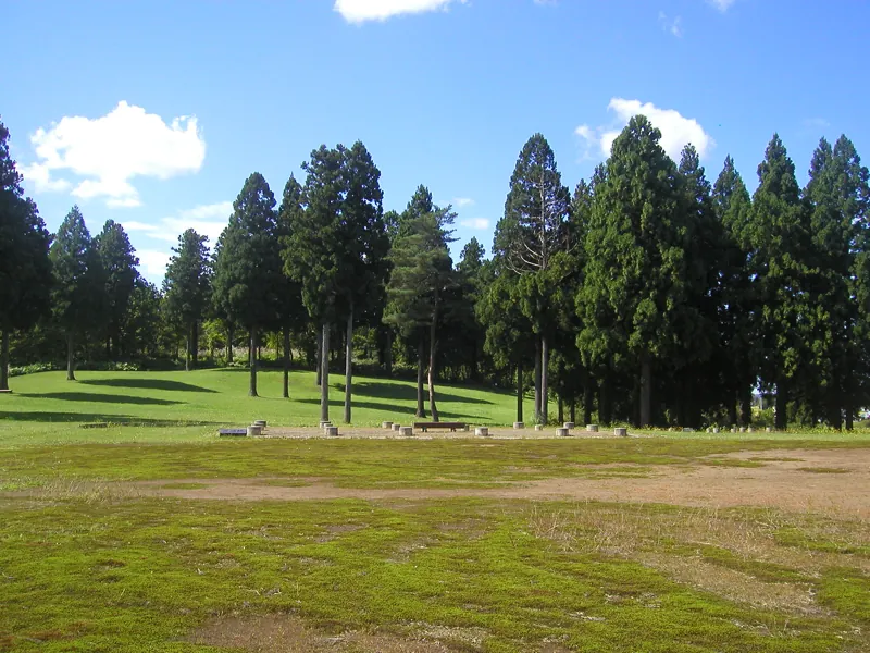 払田柵・政庁の林