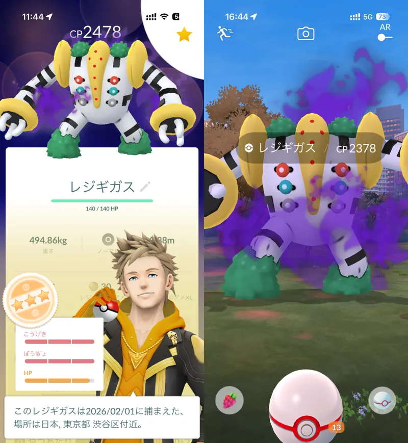 代々木公園でポケモンGO・シャドウレジギガスのレイド